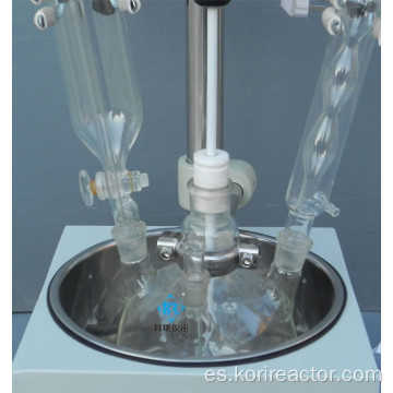 Instrumento de laboratorio Reactor de vidrio de una sola capa de 1L